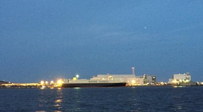 🌳 새벽 부두 공원(아카츠키후토 코엔)